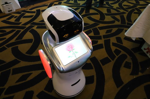 顺应时代，点燃梦想 腾玛人工智能新品发布会暨开业盛典